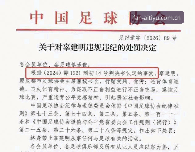 中国足球整治风暴深度解读：如何从禁足名单中看清行业规范